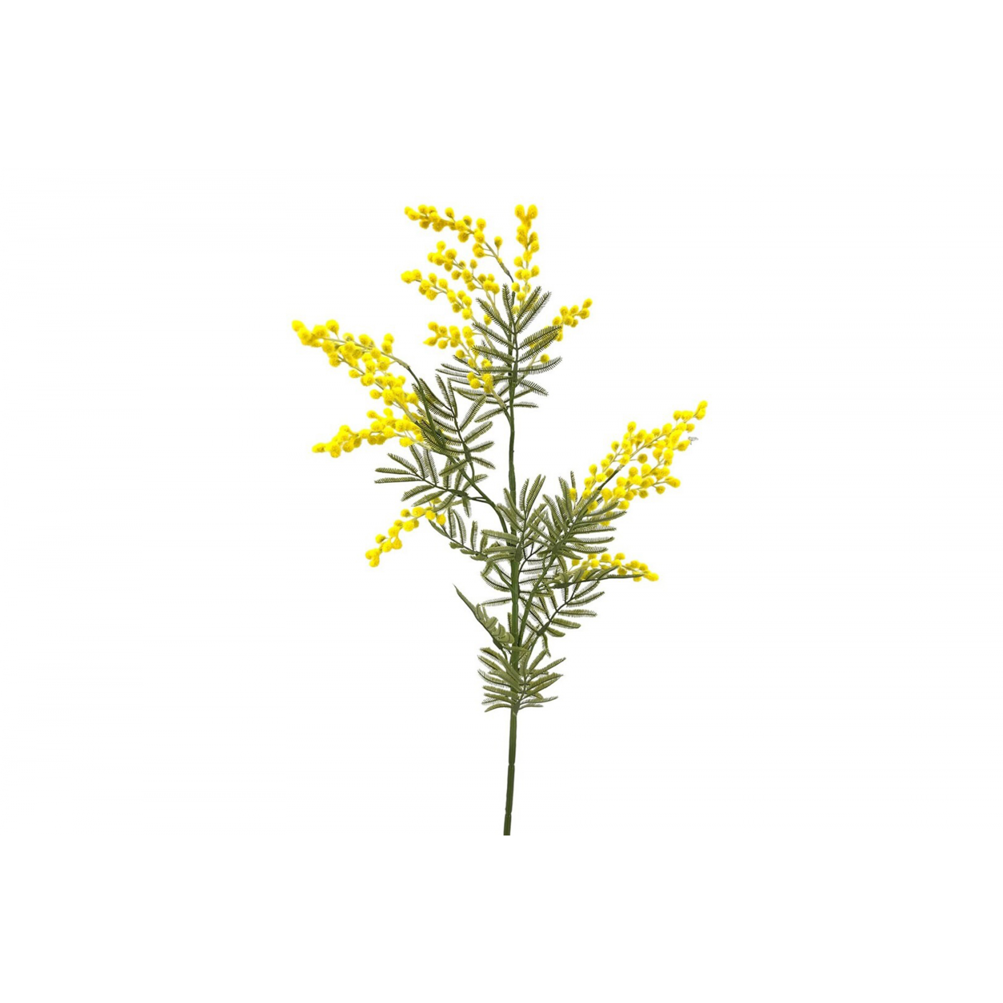 FLOR 604 -86 cms. MIMOSA-