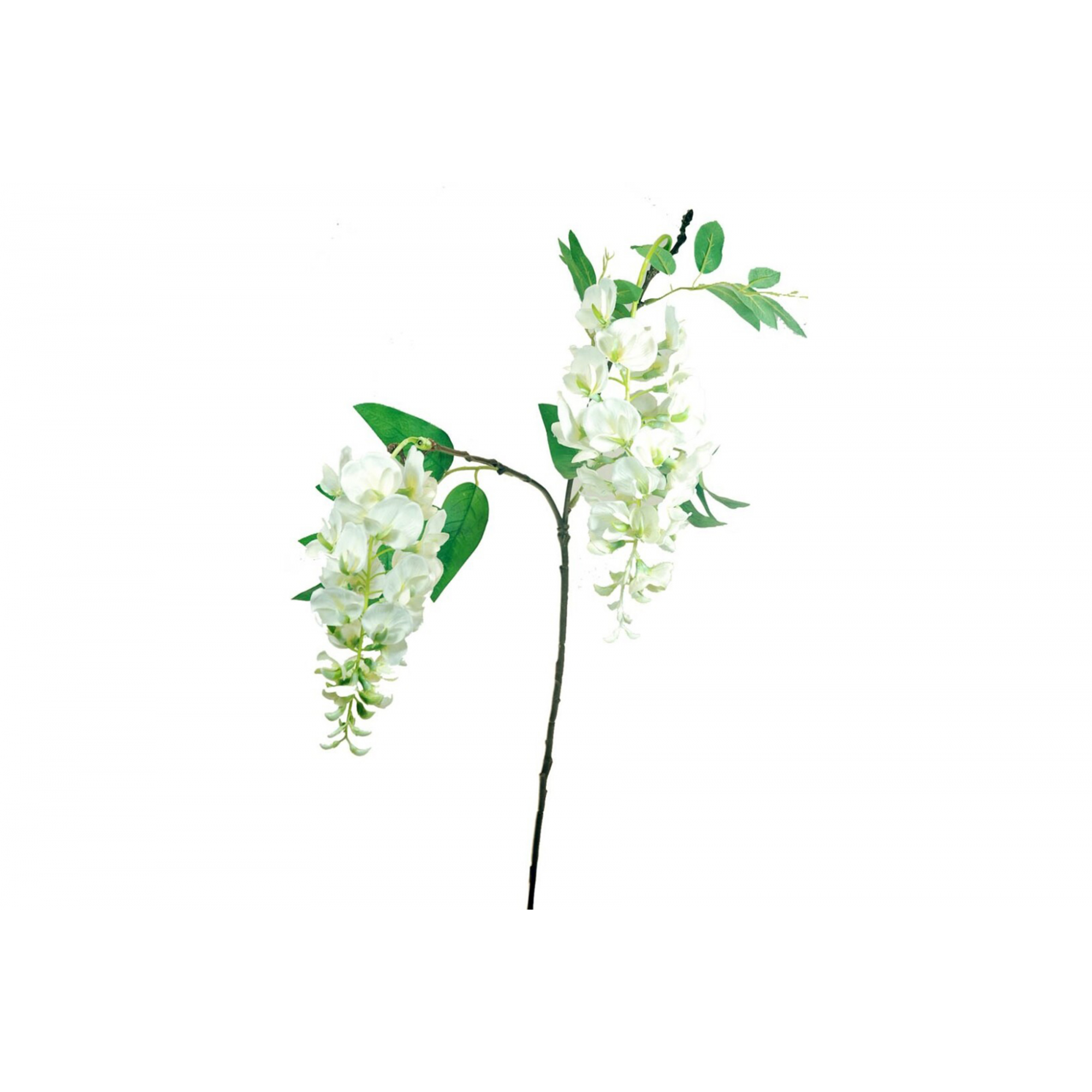 FLOR 672 -95 cms. WISTERIA-