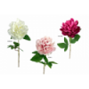 FLOR 707 -64x12 PEONIA-