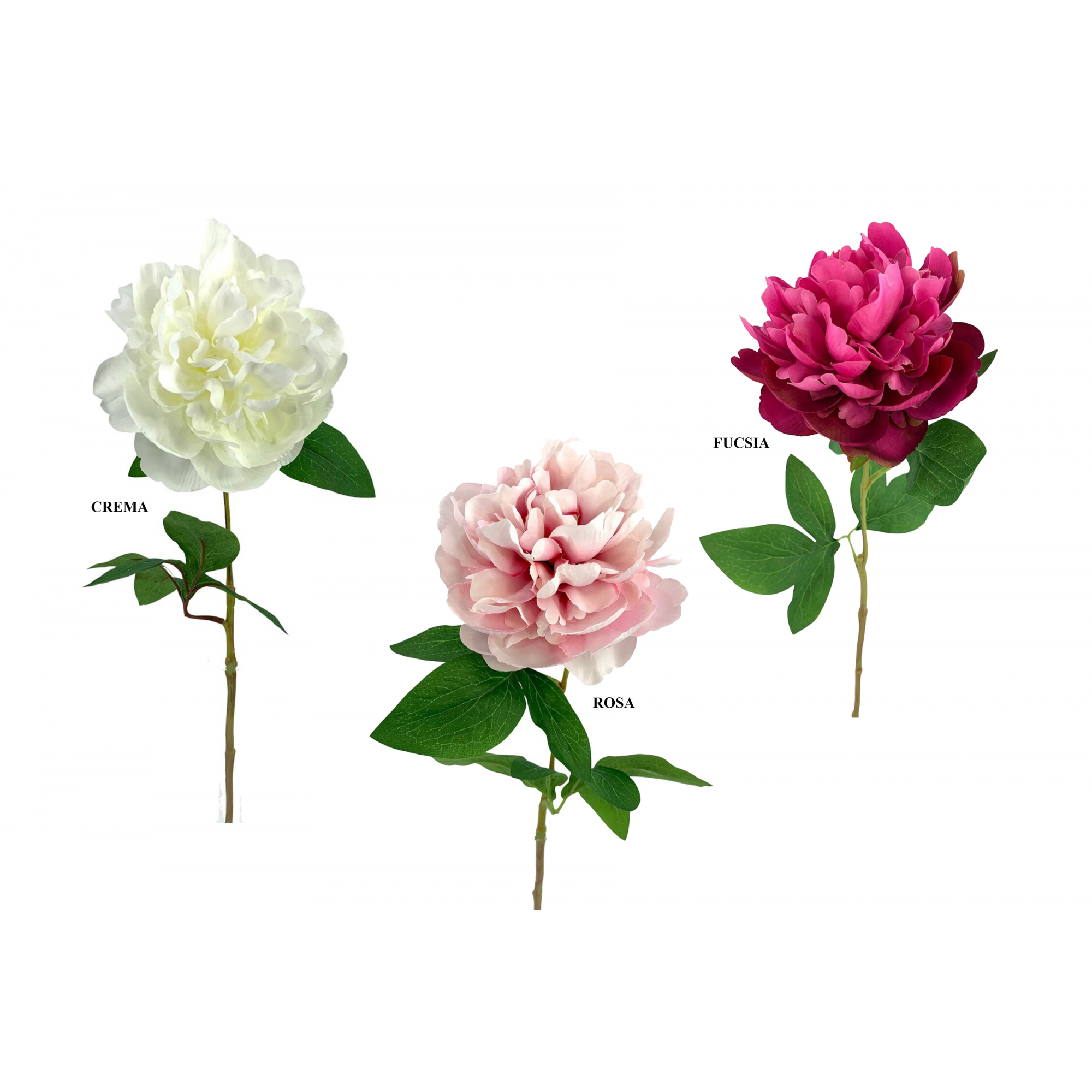 FLOR 707 -64x12 PEONIA-