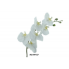 FLOR 3003 -105 cms. PHALENOPSIS x6-