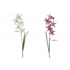 FLOR 1200 -70 cms. ORCHID CALANTHE x5-