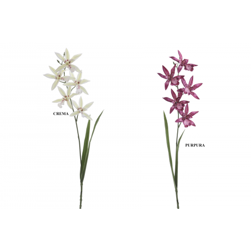 FLOR 1200 -70 cms. ORCHID CALANTHE x5-