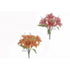 RAMO 9003 -42 cms. TIGER LILY x7-