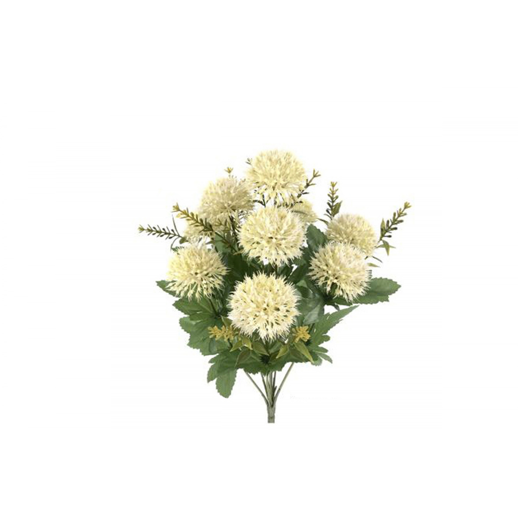 RAMO 7340 -39x5 ALLIUM x10-