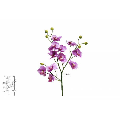 FLOR 342 -ORQUIDEA-