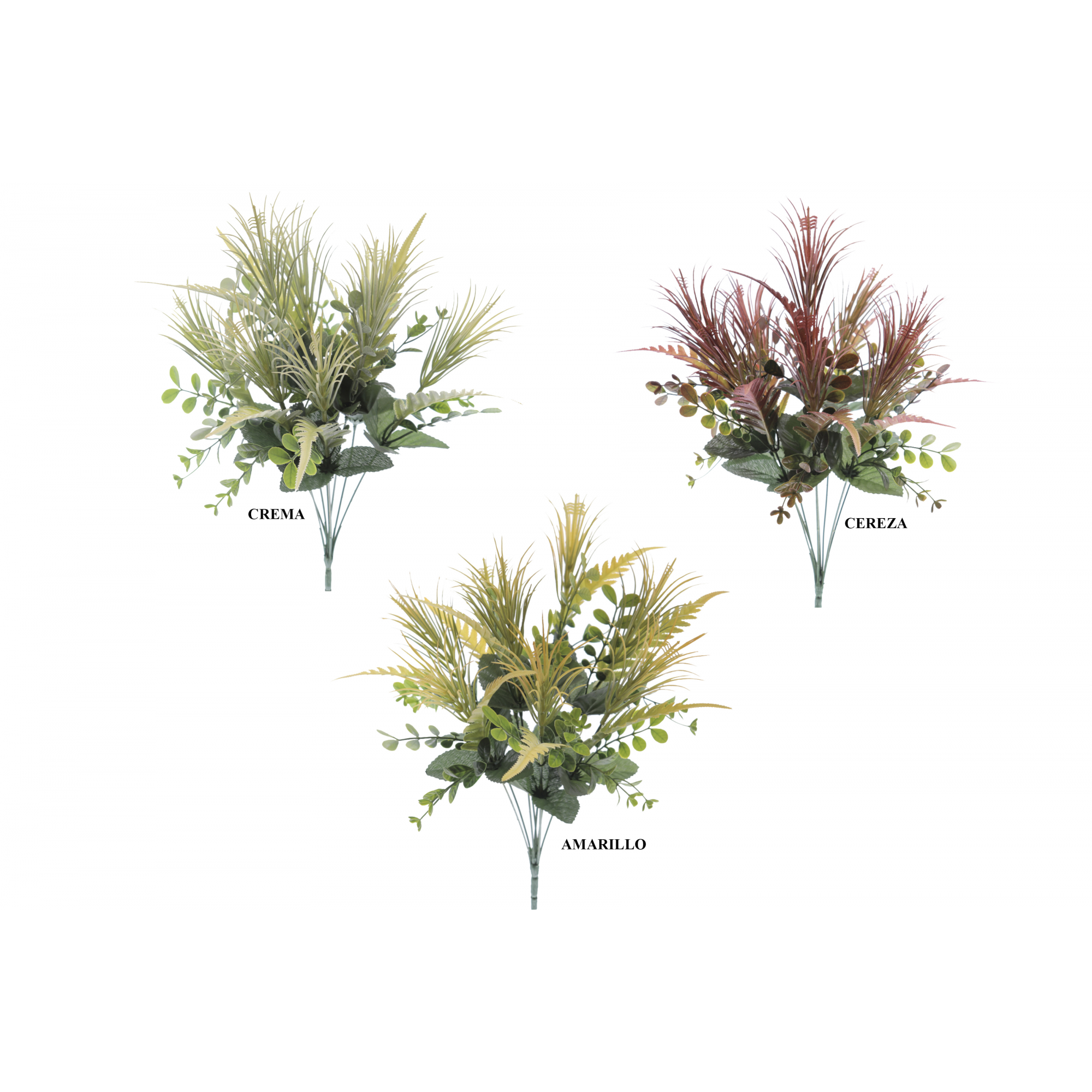 VERDE 9397 -48 cms. ERYNGIUM CAMPESTRE x8-