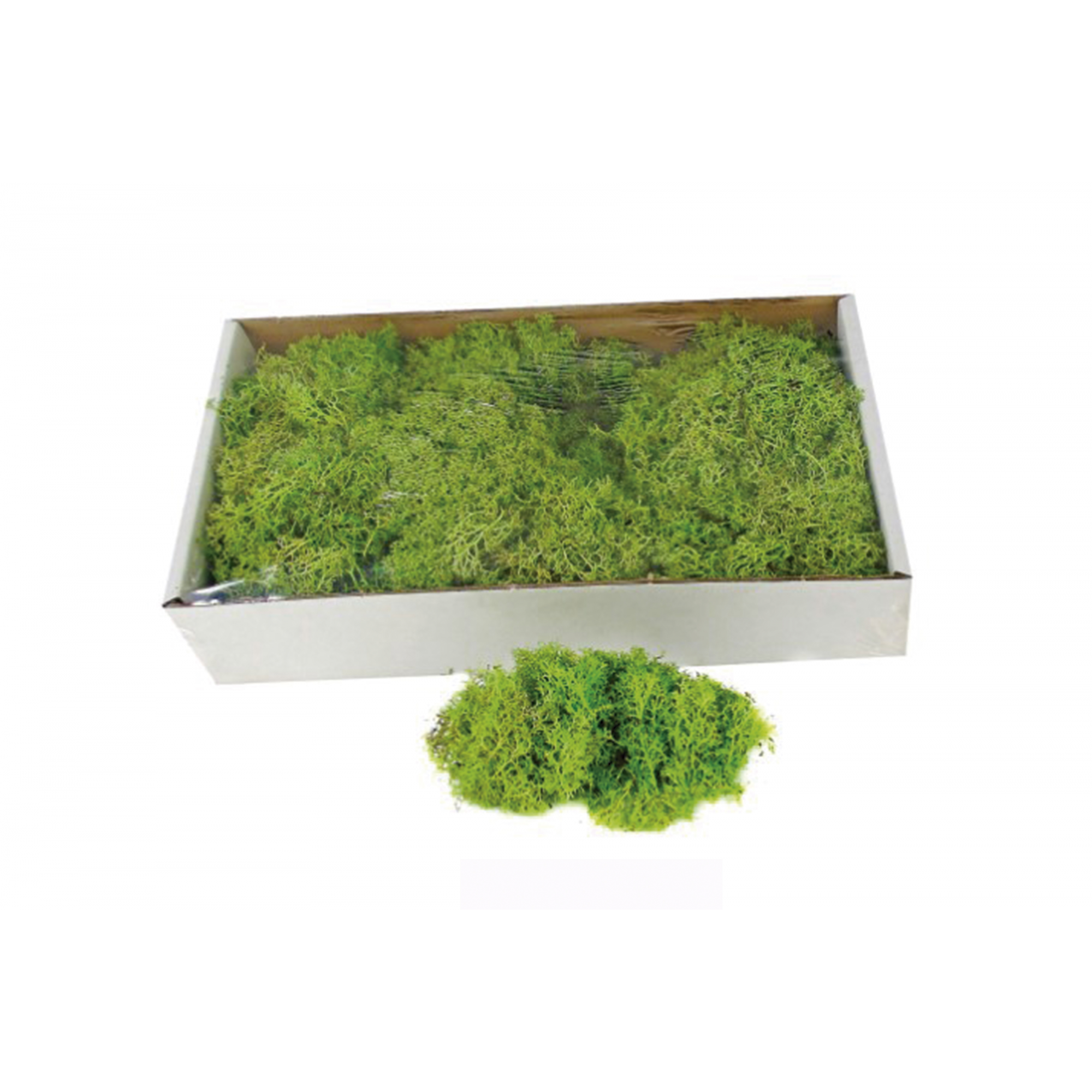 MUSGO 4259 -400G -