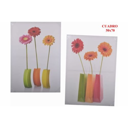 CUADRO 6070 -50x70-