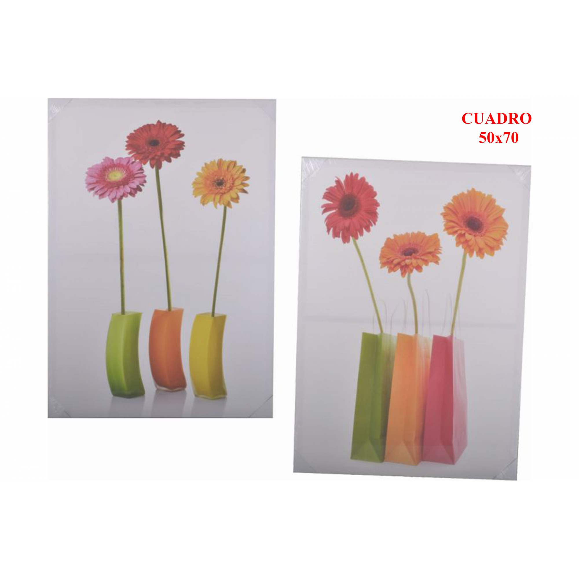 CUADRO 6070 -50x70-