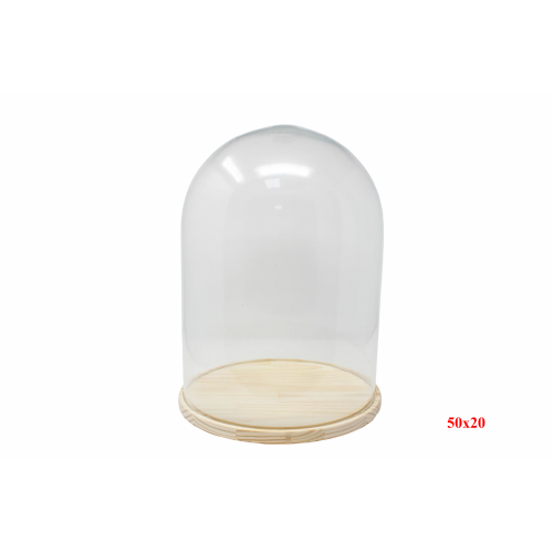 CUPULA 2050-50x20-
