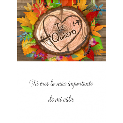 TARJETINES 5002 -AMOR-