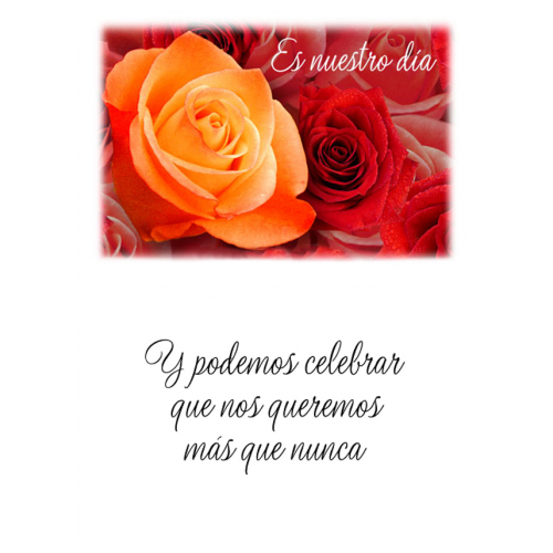 TARJETINES 5532 -ANIVERSARIO-
