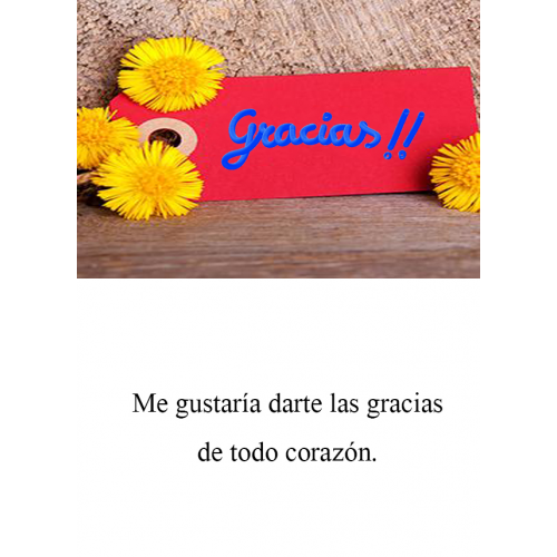 TARJETINES 6404 -GRACIAS-