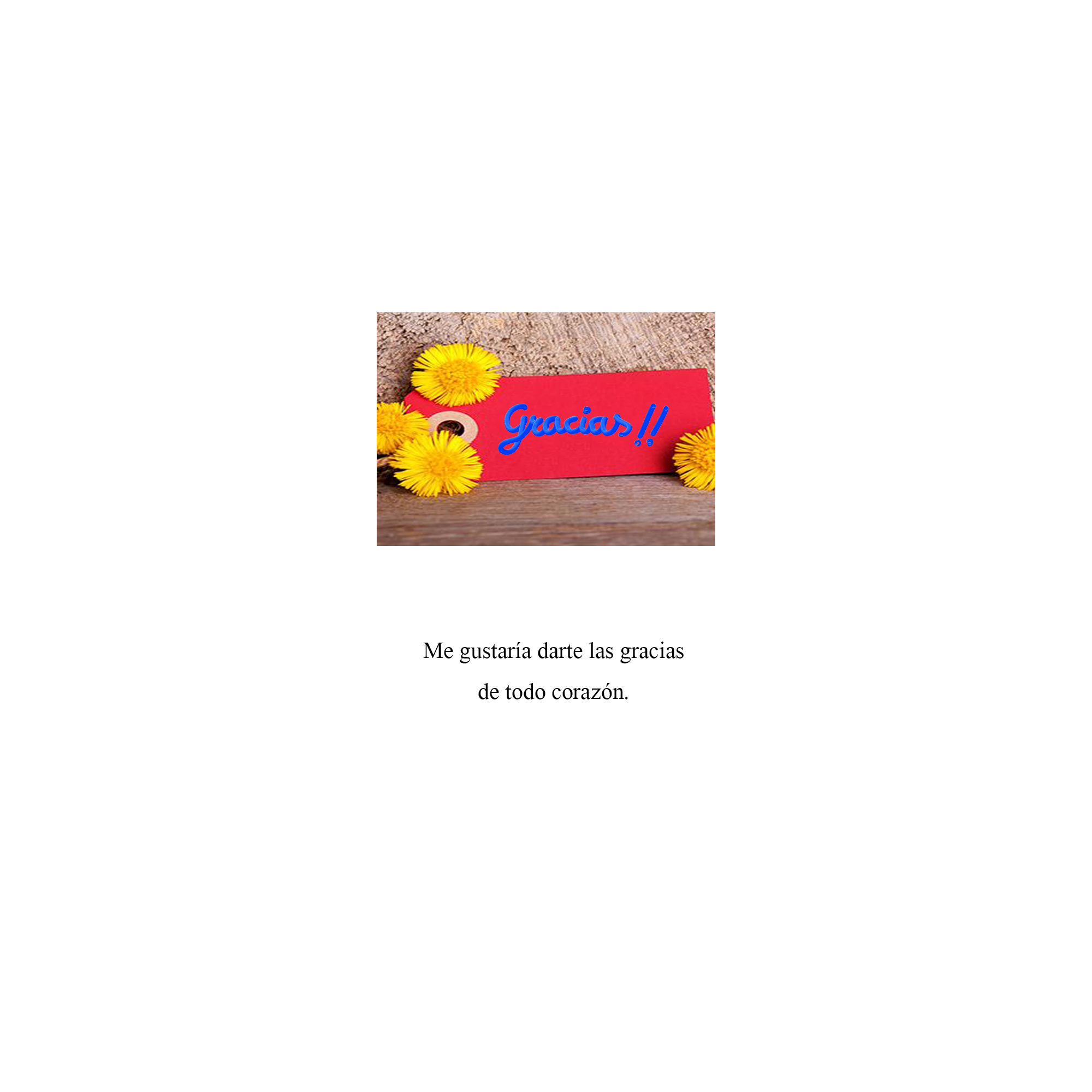 TARJETINES 6404 -GRACIAS-
