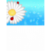 TARJETINES 6601 -SIN TEXTO-