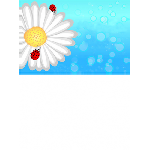 TARJETINES 6601 -SIN TEXTO-