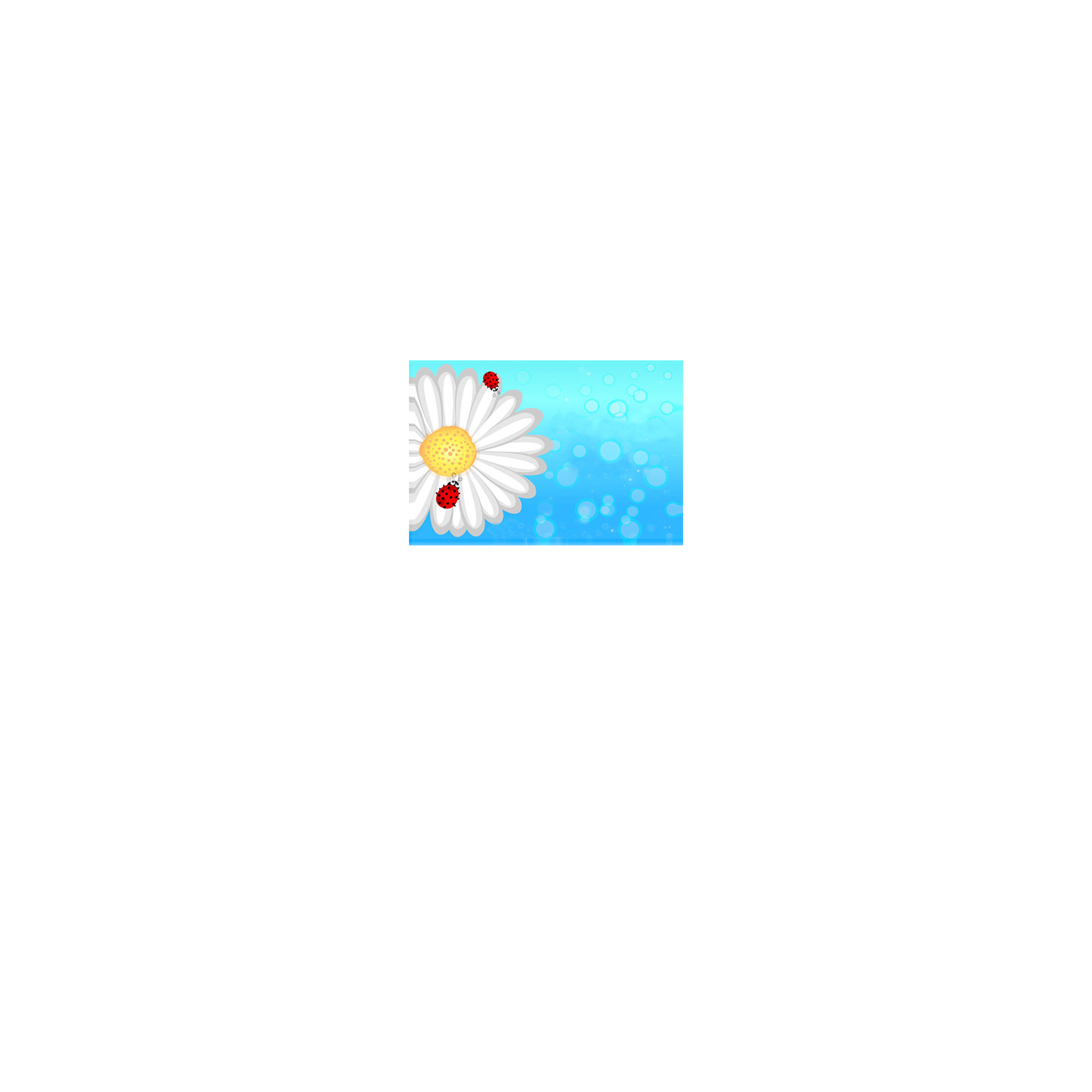 TARJETINES 6601 -SIN TEXTO-