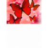 TARJETINES 6639 -SIN TEXTO-