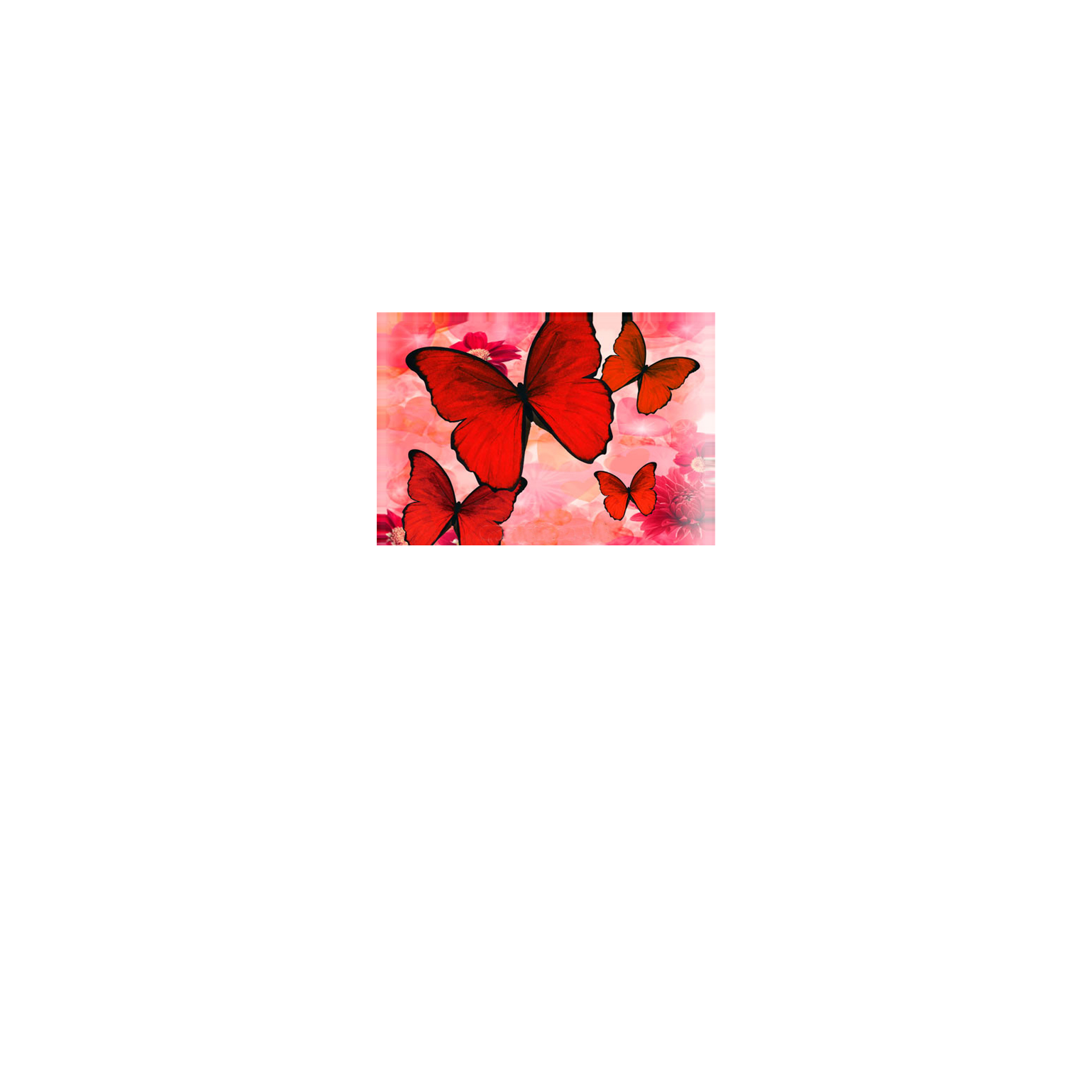 TARJETINES 6639 -SIN TEXTO-