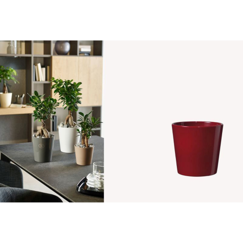 MACETA 7816 -15x15,5 DALLAS-