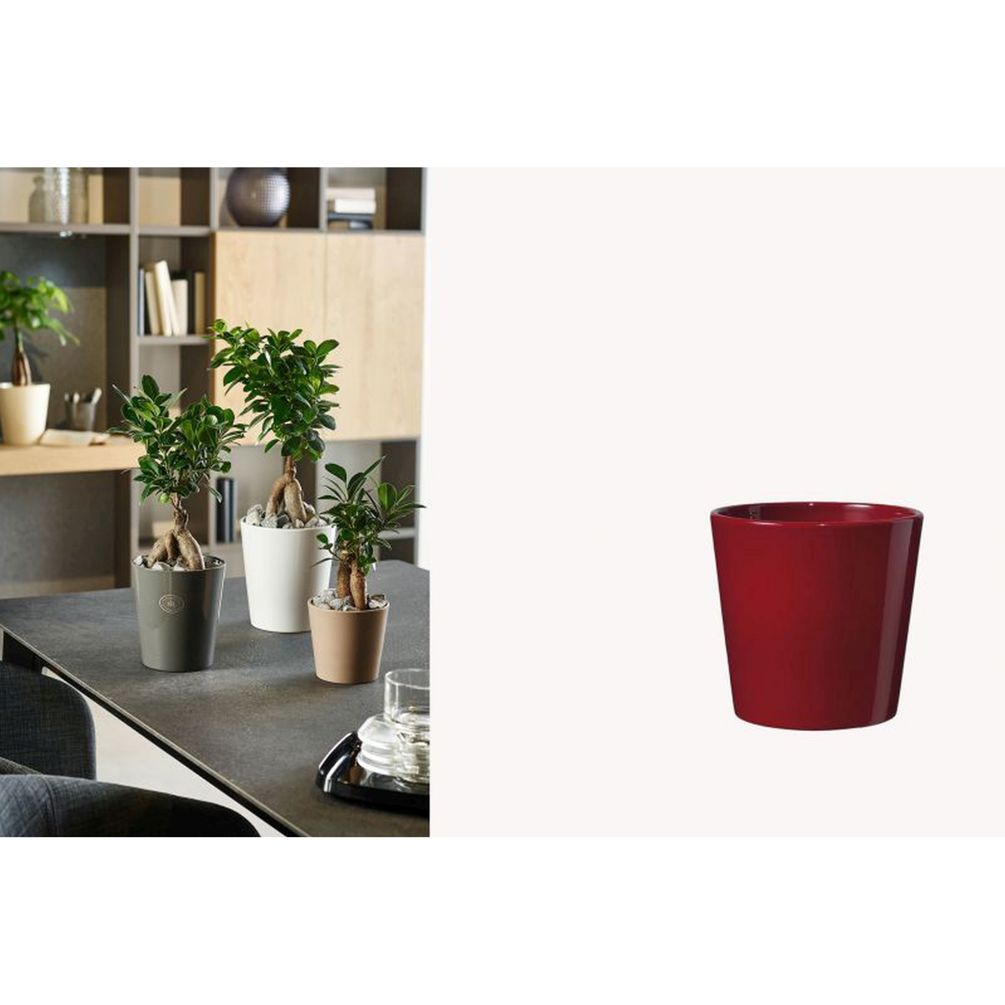 MACETA 7816 -15x15,5 DALLAS-