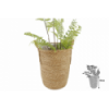 CESTA 352 -38x33 CUERDA-