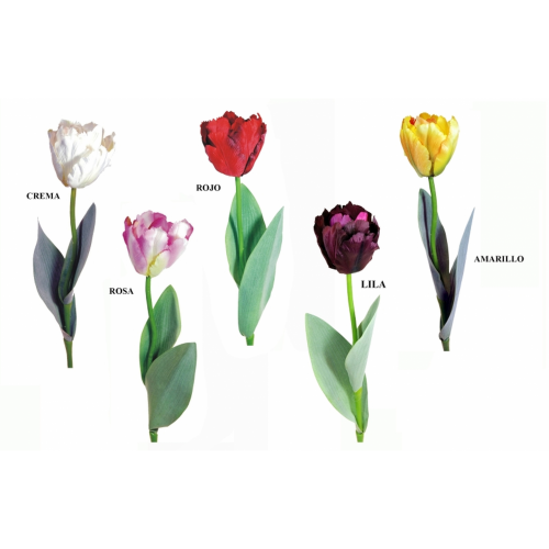 FLOR 142 -57x8 TULIPAN-
