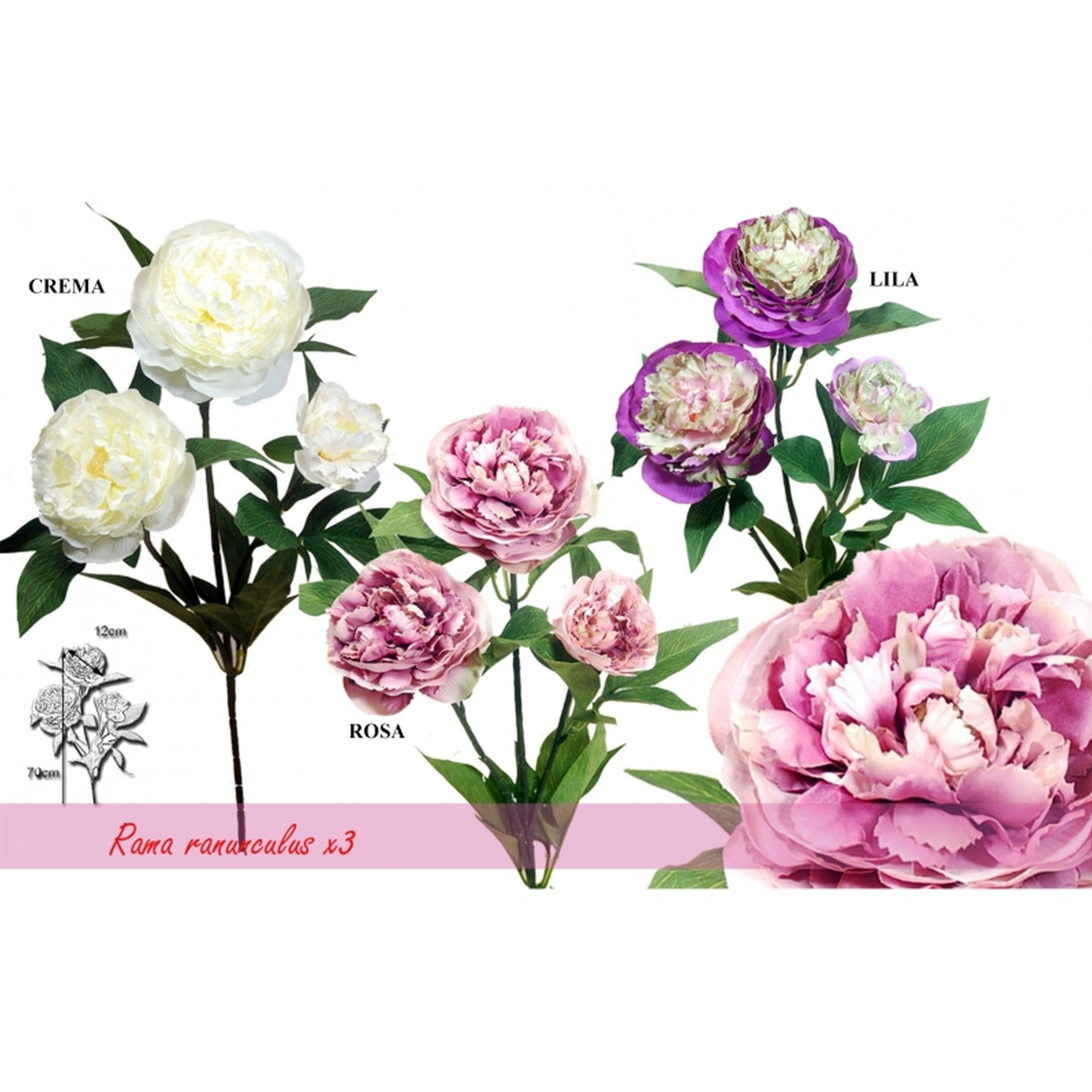 FLOR 172 -70x12 RANUNCULOx3-
