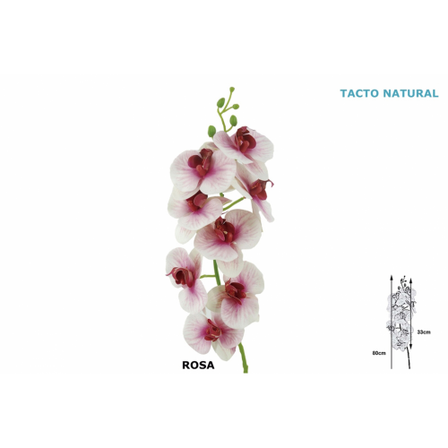 FLOR 213 -80x33 ORQUIDEA x8-