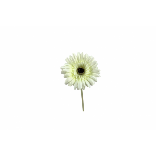 FLOR 216 -60x10 GERBERA-