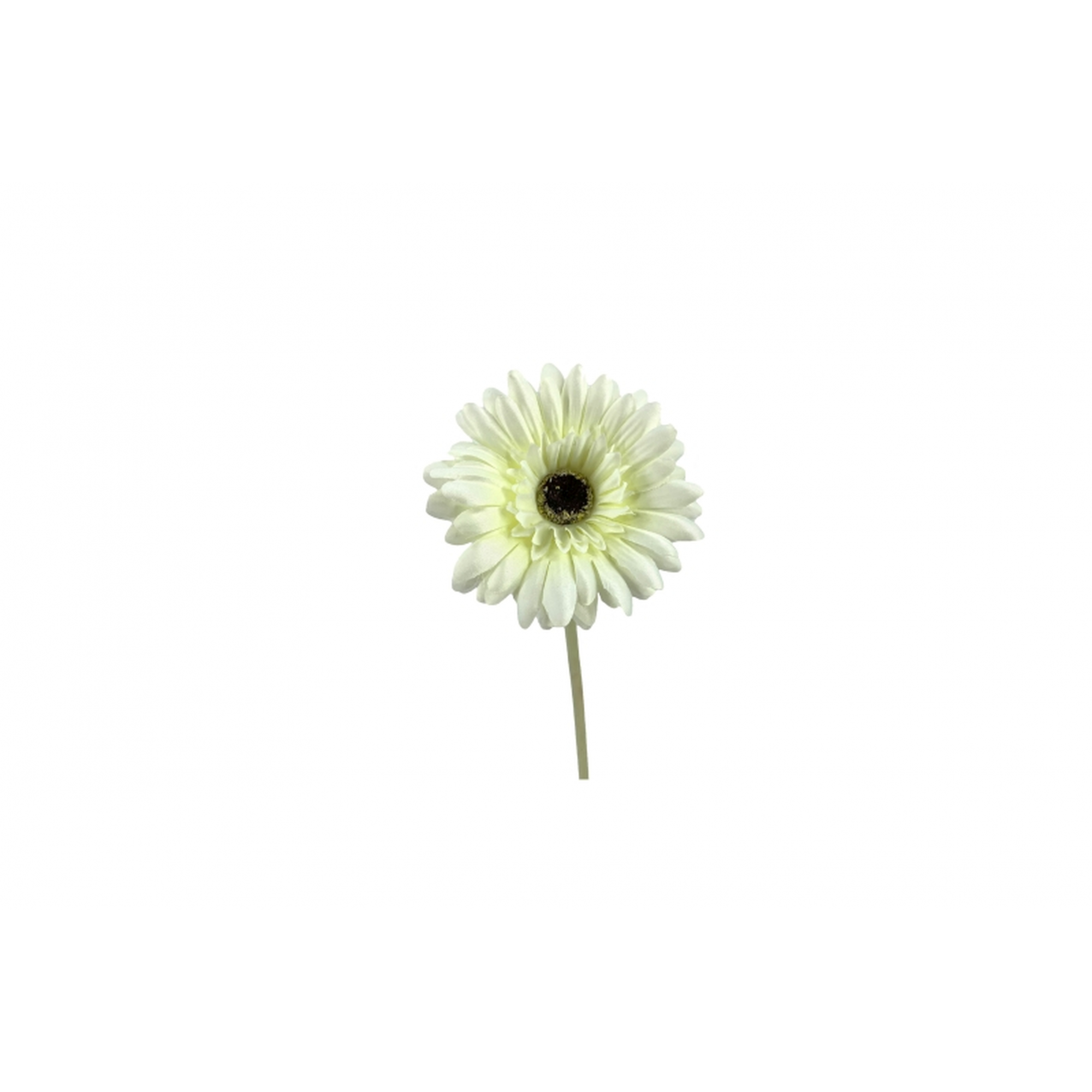 FLOR 216 -60x10 GERBERA-