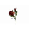 FLOR 219 - 36 cms. CAPULLO OTOÑAL x2-