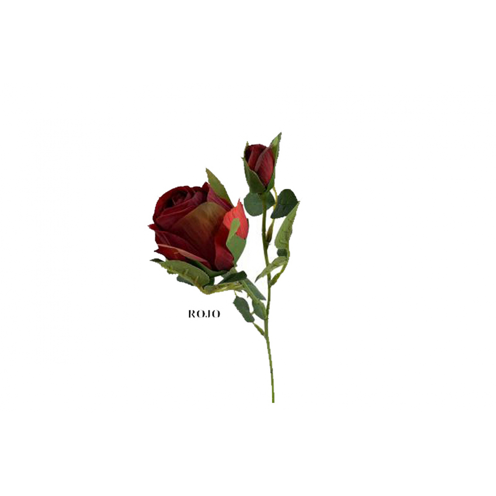 FLOR 219 - 36 cms. CAPULLO OTOÑAL x2-