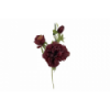 FLOR 221 -55x15 PEONIA-