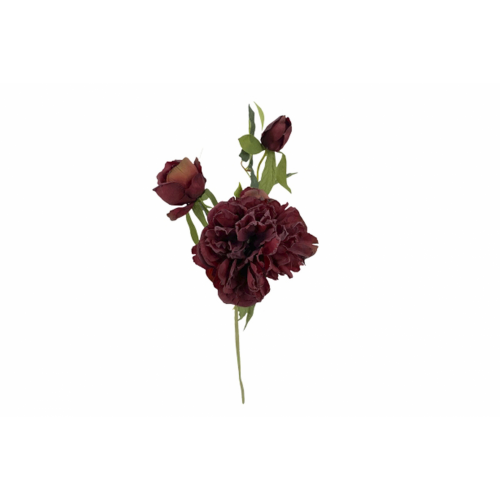 FLOR 221 -55x15 PEONIA-