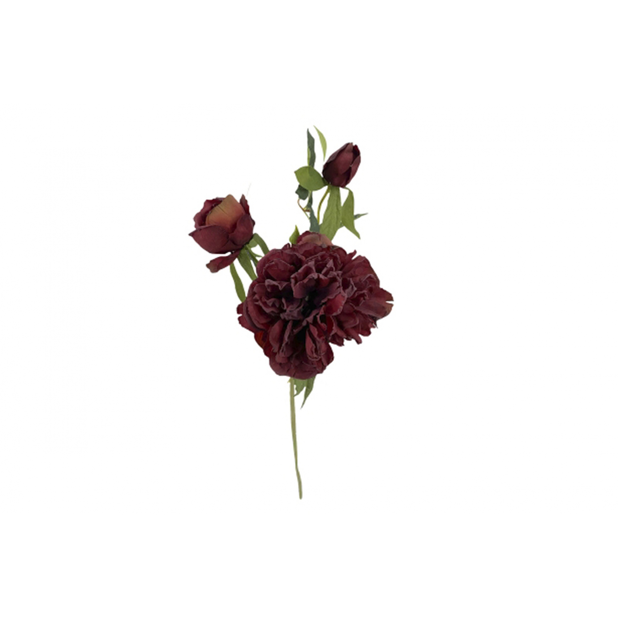 FLOR 221 -55x15 PEONIA-