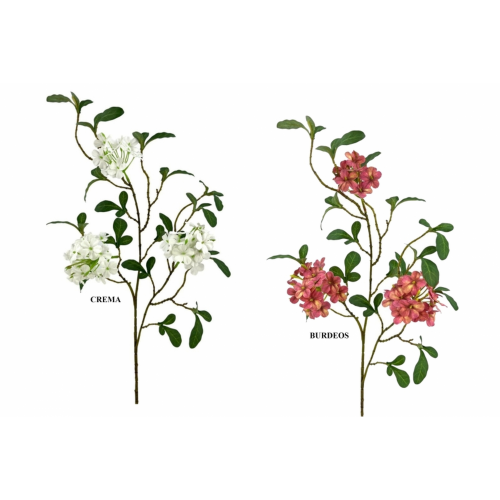 FLOR 243 -66x7 CELESTINA x3-