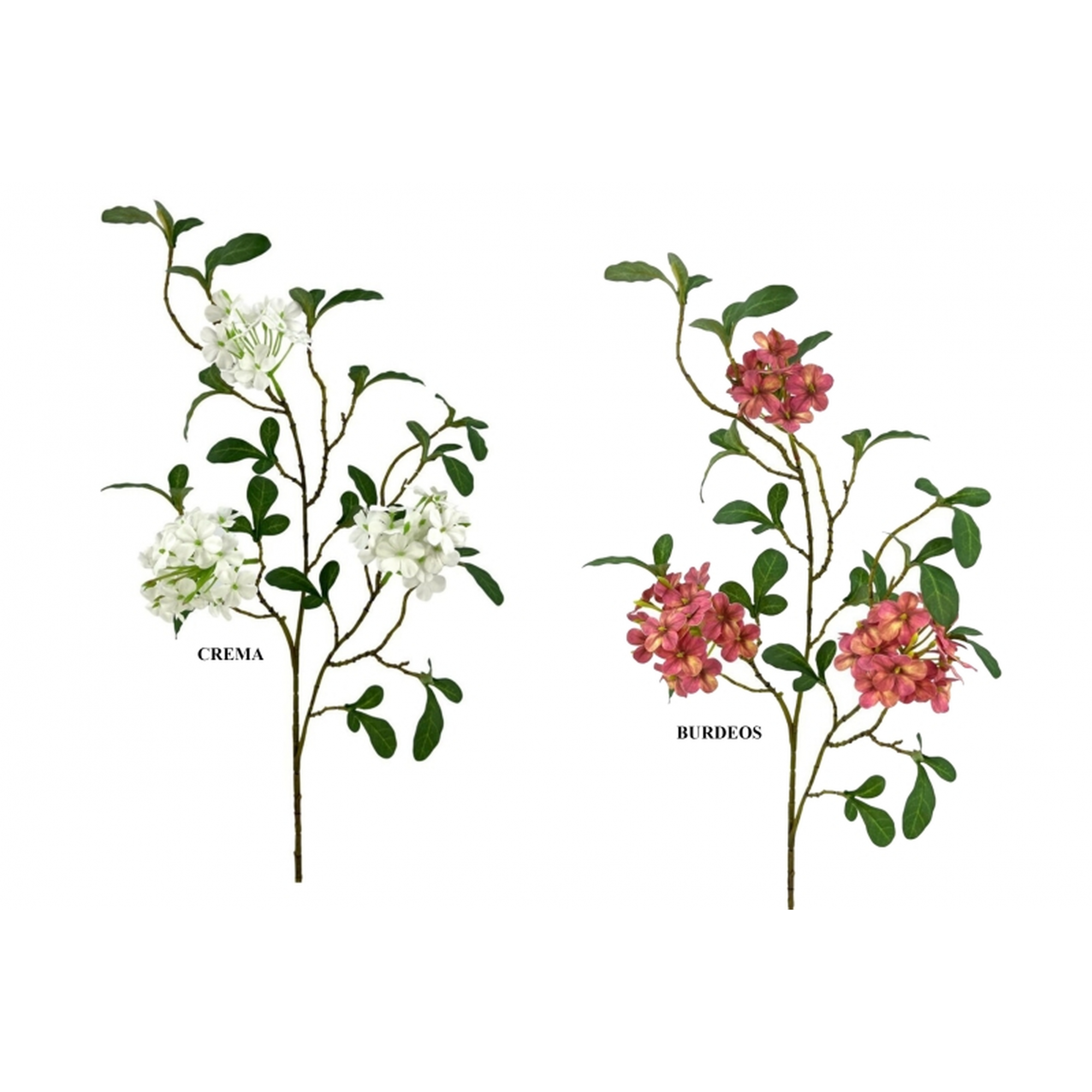 FLOR 243 -66x7 CELESTINA x3-