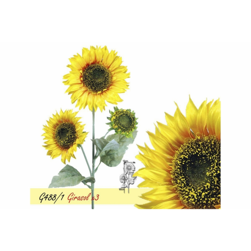 FLOR 488 -95x16 GIRASOL-