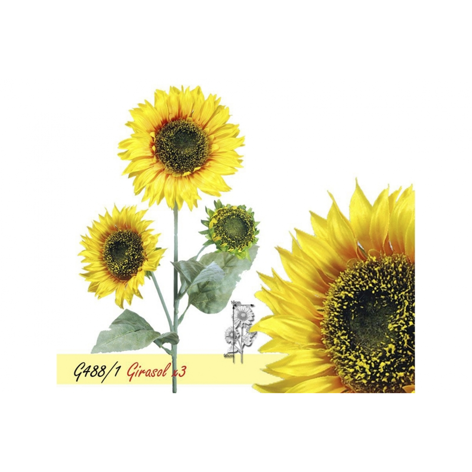 FLOR 488 -95x16 GIRASOL-