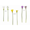 FLOR 608 -65x12 CALA FOAM-