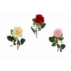 FLOR 643 -65x8 ROSA-