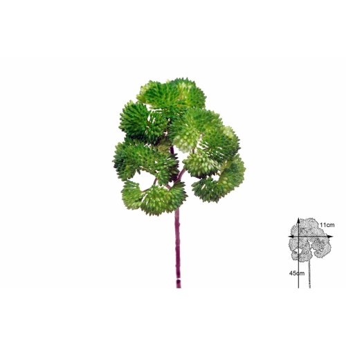 VERDE 675 -45 cms. SEDUM-