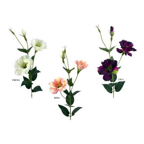 FLOR 679 -82x7 LISANTHUM-