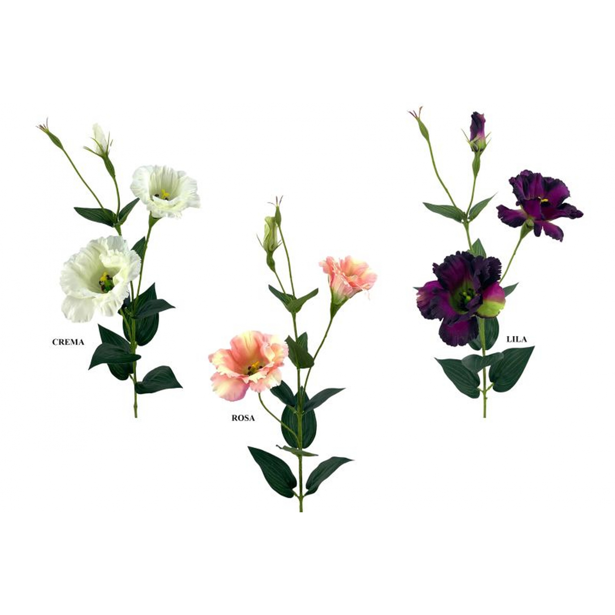 FLOR 679 -82x7 LISANTHUM-