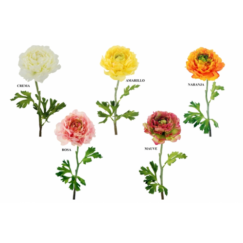 FLOR 708 -50x10 RANUNCULO-