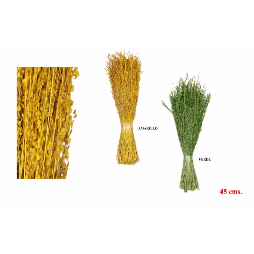 FLOR SECA 457 -45 cms. CENTENO (V-A)-