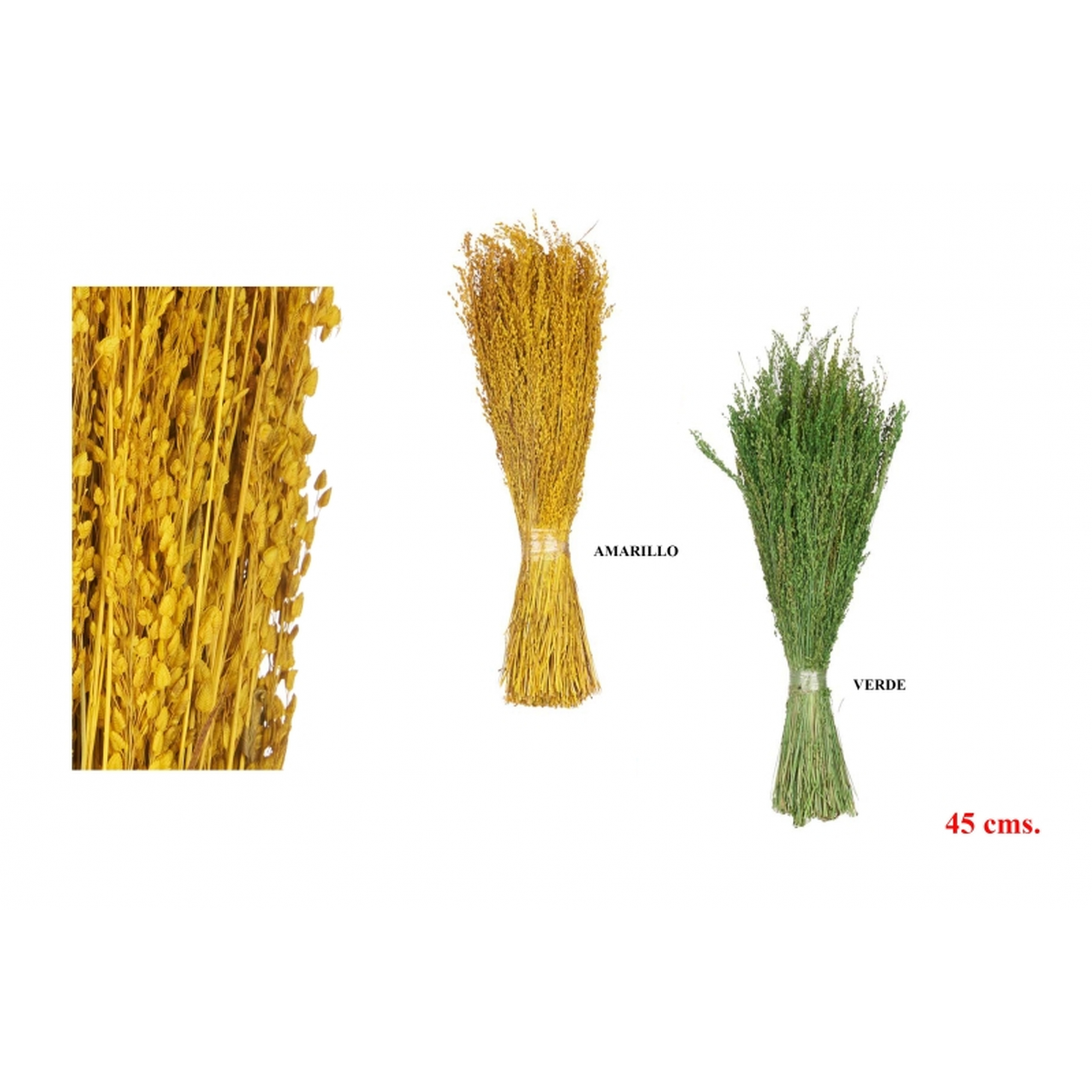 FLOR SECA 457 -45 cms. CENTENO (V-A)-