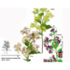 FLOR 712 -63 cms. HORTENSIA-